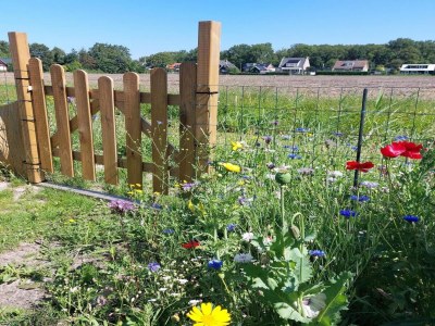 Holiday house Modern bungalow close to beach with views - Environment photo 23