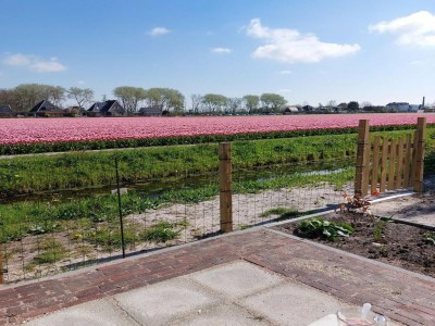 Holiday house Modern bungalow close to beach with views - Environment photo 24