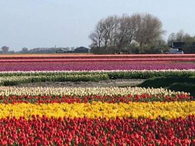 Holiday house Cosy bungalow on quiet resort near beach - Outdoor photo 9