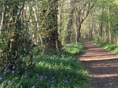 Holiday house Cosy bungalow on quiet resort near beach - Environment photo 19