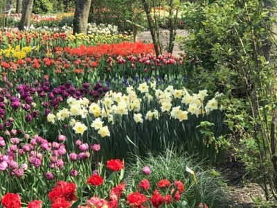 Holiday house Cosy bungalow on quiet resort near beach - Outdoor photo 21