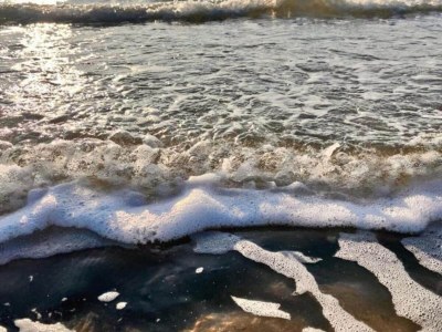 Holiday house Cosy bungalow on quiet resort near beach - Outdoor photo 22