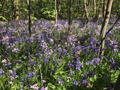 Holiday house Cosy bungalow on quiet resort near beach - Outdoor photo 24