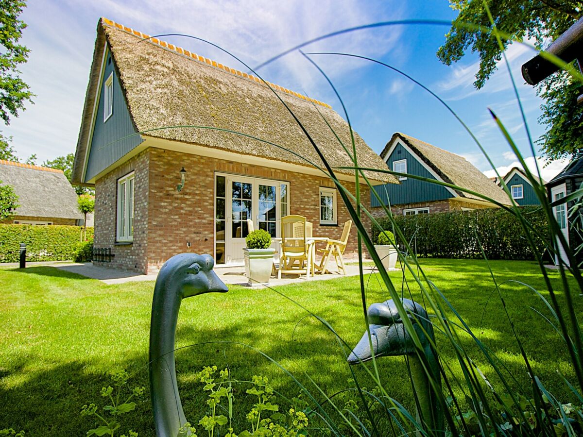 Holiday house Luxurious coastal villa near forest - Outdoor photo 3