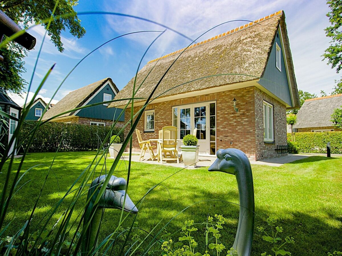 Holiday house Luxurious coastal villa near forest - Outdoor photo 4