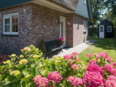 Holiday house Luxurious coastal villa near forest - Outdoor photo 6