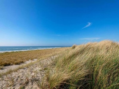 Holiday house Charmantes Chalet in Sint Maartenszee - Environment photo 13