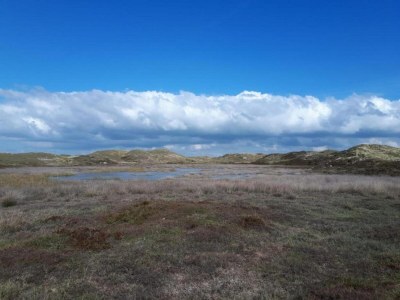 Holiday house Charmantes Chalet in Sint Maartenszee - Environment photo 14