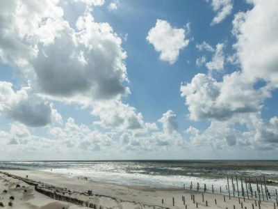 Holiday house Charmantes Chalet in Sint Maartenszee - Environment photo 19