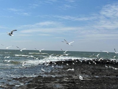 Holiday house Comfortable bungalow for 6 people - Environment photo 35