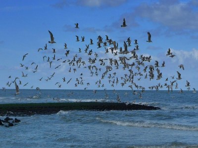 Holiday house Bungalow für 6 Personen in Strandnähe - Environment photo 22