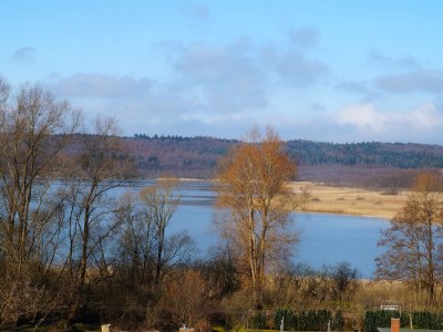 Holiday apartment Binz Seeterrassen 7 - Features photo 4