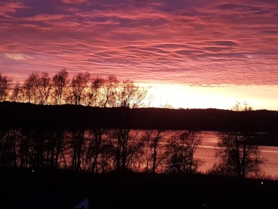 Holiday apartment Binz Seeterrassen 7 - Environment photo 22