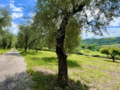 Holiday house Residence Casa Adriana - Environment photo 20
