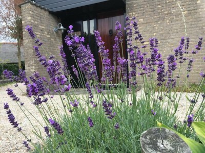 Holiday house Ein sehr netter ausgestatteter Bungalow, 5 Personen, WLAN - Outdoor photo 30