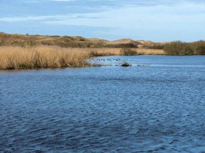 Holiday house Schöner Steinbungalow mit eingezäuntem Garten - Environment photo 31