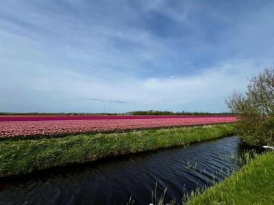 Holiday house Beautiful bungalow in North Holland - Environment photo 36
