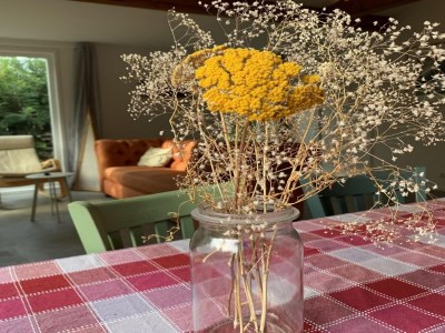 Holiday house Renovated bungalow with garden for families - Outdoor photo 33