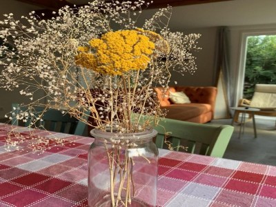 Holiday house Renovated bungalow with garden for families - Outdoor photo 36