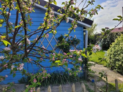 Holiday house Bungalow in Egmond nahe Strand für 4 Von Belvilla - Outdoor photo 2