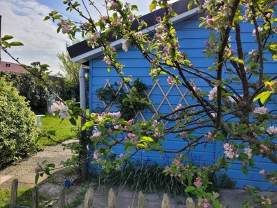 Holiday house Bungalow in Egmond nahe Strand für 4 Von Belvilla - Outdoor photo 12