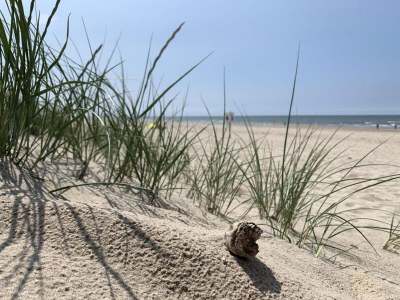 Holiday house Bungalow in Sint Maartenszee in der Nähe der Düne - Environment photo 26