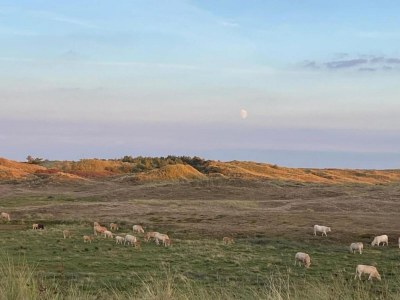 Apartment 3-person apartment near forest - Environment photo 28
