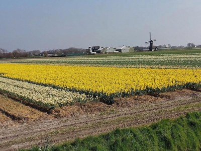 Holiday house Gemütliches Ferienhaus in Strandnähe - Outdoor photo 3