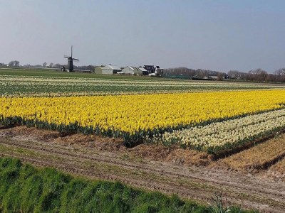 Holiday house Gemütliches Ferienhaus in Strandnähe - Environment photo 18