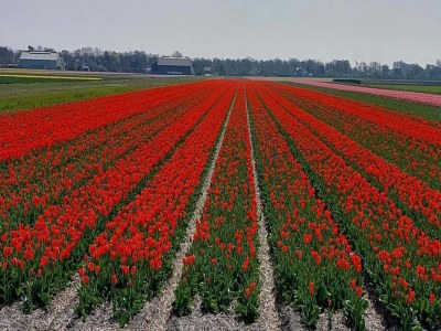 Holiday house Gemütliches Ferienhaus in Strandnähe - Environment photo 19