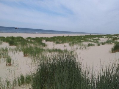 Holiday house Gemütliches Ferienhaus in Strandnähe - Environment photo 20