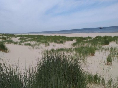 Holiday house Gemütliches Ferienhaus in Strandnähe - Environment photo 24