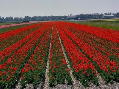 Holiday house Gemütliches Ferienhaus in Strandnähe - Environment photo 26