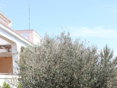 Apartment One bedroom apartment with terrace and sea view Kustići, Pag A-6287-d - Outdoor photo 8