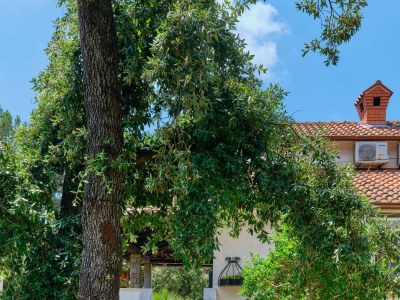 Apartment One bedroom apartment with terrace Artatore, Lošinj A-2509-c - Outdoor photo 11