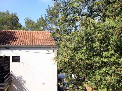 Apartment One bedroom apartment with terrace Artatore, Lošinj A-2509-c - Outdoor photo 25