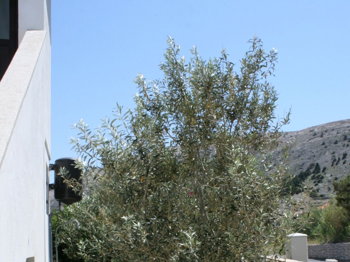 Apartment Two bedroom apartment with terrace and sea view Pag A-6383-a - Outdoor photo 5