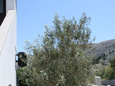 Apartment Two bedroom apartment with terrace and sea view Pag A-6383-a - Outdoor photo 5