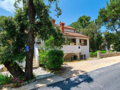 Apartment Two bedroom apartment with balcony Artatore, Lošinj A-2509-d - Outdoor photo 11