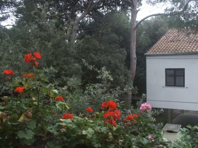 Apartment One bedroom apartment with terrace Artatore, Lošinj A-2509-e - Outdoor photo 27