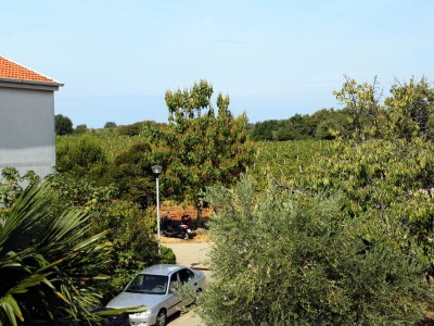 Apartment One bedroom apartment with terrace Novigrad A-2536-d - Outdoor photo 22