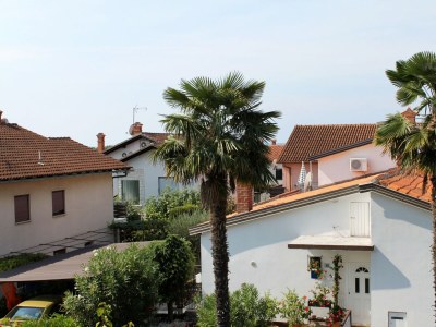 Apartment One bedroom apartment with terrace Novigrad A-2536-d - Outdoor photo 23