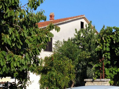 Apartment Studio flat with terrace Novigrad AS-2536-a - Outdoor photo 3