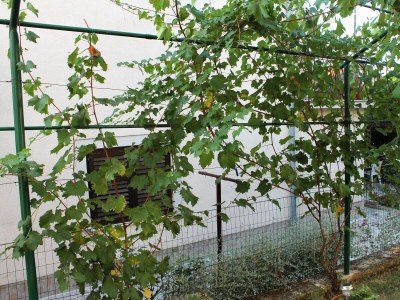 Apartment Studio flat with terrace Novigrad AS-2536-b - Outdoor photo 20