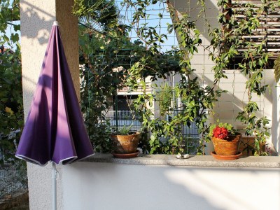 Apartment Studio flat with terrace Novigrad AS-2536-b - Outdoor photo 24