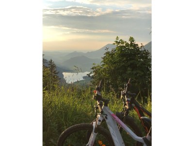 Holiday apartment Sonnberg Groß - Haus Hirschpoint - Outdoor photo 9