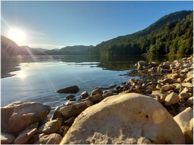 Holiday apartment Sonnberg Groß - Haus Hirschpoint - Outdoor photo 12