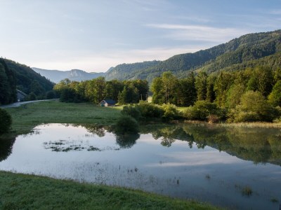 Holiday apartment Sonnberg Groß - Haus Hirschpoint - Features photo 25