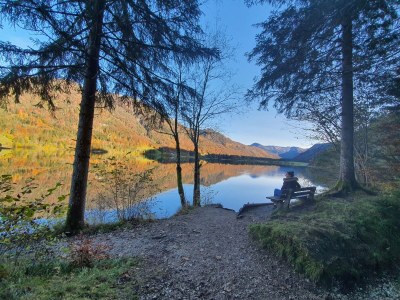 Holiday apartment Sonnberg Groß - Haus Hirschpoint - Environment photo 32