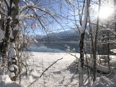 Holiday apartment Sonnberg Groß - Haus Hirschpoint - Environment photo 34